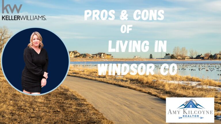 Pros and cons of living in Windsor